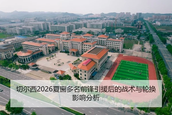 切尔西2026夏窗多名前锋引援后的战术与轮换影响分析